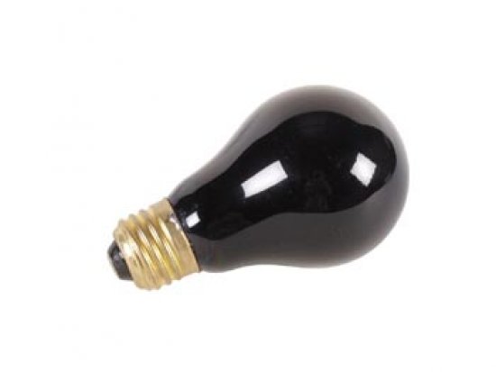 LAMPE lumière noire 230V 75W E27 