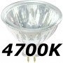 Catégorie Solux 24° 4700K