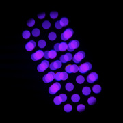 Focus CMY Compact ADJ - Lyre led Spot 400W CMY