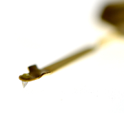 Saphir stéréo pour cellule compatible Fox