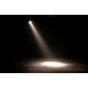 Encore LP7 IP Adj Projecteur led étanche 7 x 20W RGBL 10° et 25°