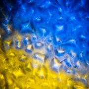 H20TWO ADJ Projecteur Effet Eau H2O Two ADJ - LED Blanche 120W avec Zoom Manuel