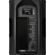 LD Systems Enceinte de Sono amplifiée 12 avec lecteur MP3 180W RMS