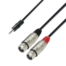 Câble audio mini jack 3.5 mm stéréo vers 2 x XLR femelles, 1m