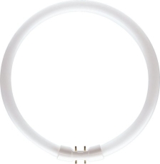 Circline T5 OSRAM LUMILUX FC 22W 865 2Gx13 220mm