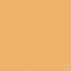 Lee Filters 207 - feuille Gélatine 122 X 53 cm CT orange complet + 3ND CTO