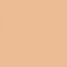 Rouleau Lee Filters 205 1/2 C.T Orange 7.62 x 1.22 m