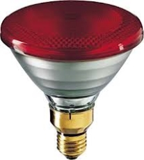 Lampe infrarouge Philips IR175R 230W 175W