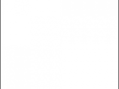 Feuille Rosco 100 X 61cm Supergel 104 Tough Silk