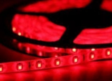 Ruban LED 12V ROUGE 60 LED/m 3528 IP65 Rouleau de 5m