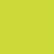 LEE FILTERS 088 feuille Gélatine 122 X 53 cm lime green 088