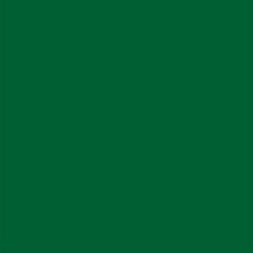 Lee Filters 139 - feuille Gélatine 122 X 53 cm Vert primaire