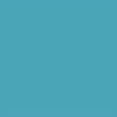 LEE FILTERS 143 feuille Gélatine 122 X 53 cm Pale navy blue