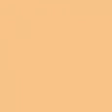 LEE FILTERS 204 feuille Gélatine 122 X 53 cm Full C.T Orange 204