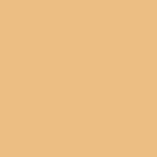 LEE FILTERS 285 feuille Gélatine 122 X 53 cm CT orange 3/4 CTO 285