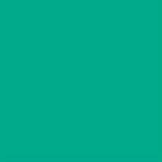 feuille gélatine 122 x 53 cm JADE 323 LEE FILTERS