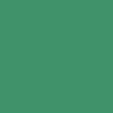 FEUILLE GÉLATINE 122 x 53 AURORA BOREALIS GREEN 740 LEE FILTERS
