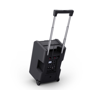 LD Systems ANNY 10 HHD2 B5 - Enceinte sur batterie 10 pouces bluetooth avec 2 micros main HF bande B5
