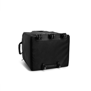 LD Systems DAVE 10 G4X BAG SET - Set de transport pour DAVE 10 G4X