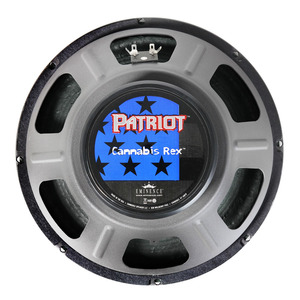 Palmer MI CAB 212 REX - Baffle Guitare 2 x 12