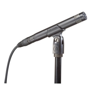 Microphone statique cardioïde AT2031 Audio-Technica pour instrument