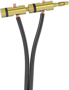 Fiche Banane 4 mm Dorée – Connecteur à Visser avec Anneau Noi
