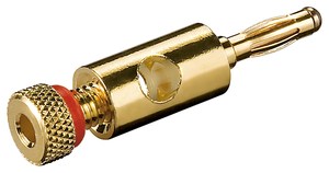 Fiche Banane 4 mm Dorée – Connecteur à Visser avec Anneau Rouge
