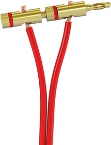 Fiche Banane 4 mm Dorée – Connecteur à Visser avec Anneau Rouge
