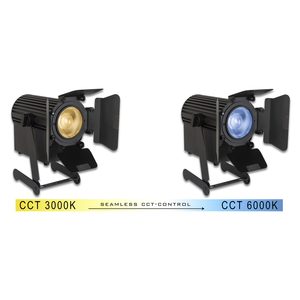 CAM-SPOT 30TW JB Systems - Projecteur fresnel lentille claire 30W dimmable et blanc variable
