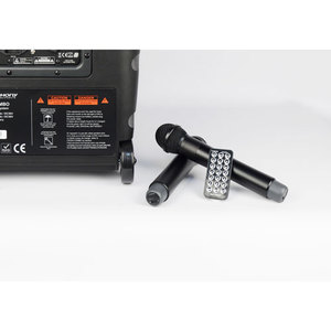 Enceinte autonome Audiophony CR25A-COMBO-F5 Batterie 250W MP3 bluetooth 2 micros