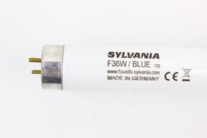 Tube fluo Sylvania 36W 26X1200mm BLEU