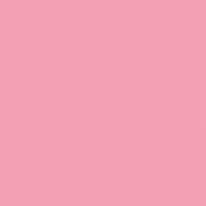 Feuille Lee Filters 036 Medium pink 0.53 x 1.22 m