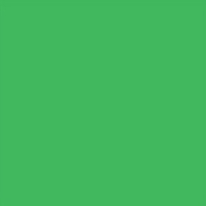 feuille Gélatine 122 X 53 cm vert fougère 122 Lee Filters