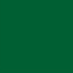Lee Filters 139 - feuille Gélatine 122 X 53 cm Vert primaire
