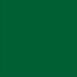 feuille Gélatine 122 X 53 cm Vert primaire 139 LEE FILTERS