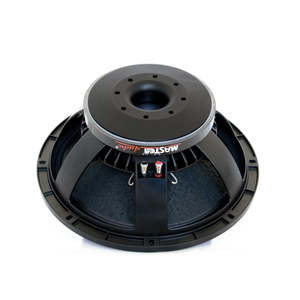 Haut parleur 15pouces 38cm 600W RMS LSN15