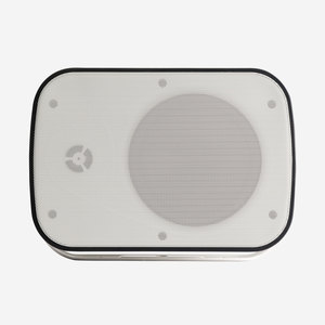 ONDE 660W Audiophony - enceinte murale IP65 6.5p 60W sous 8 ohms et 40W en 100V
