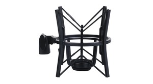 P AKG - Microphone de studio statique cardioïde à directivité variable 155 dB SPL