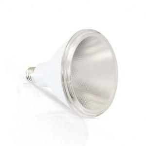 Ampoule LED PAR38 15W 3000K 30°