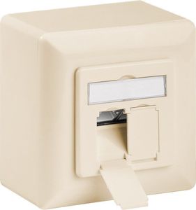 Prise murale RJ45 double CAT 6 Couleur Beige