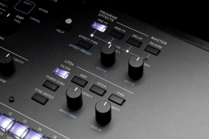 WAVESTATE-SE Korg – Synthétiseur 61 notes avec aftertouch