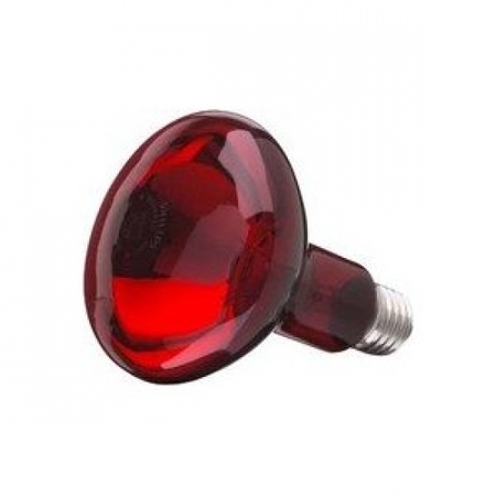 Image principale du produit LAMPE infrarouge E27 Philips IR 95mm IR 230V 100W Filtre rouge