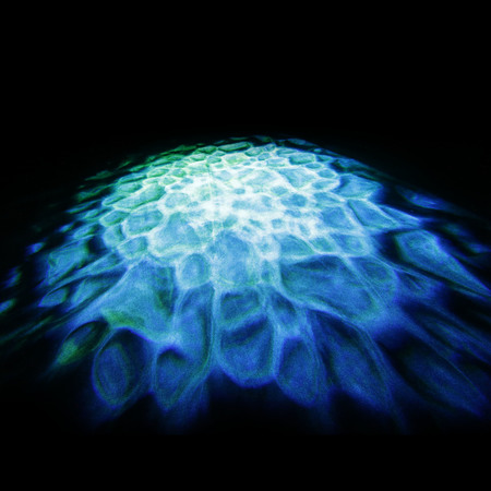 Image nº6 du produit Cameo SCUBA - Effet d'eau avec LED de 90 W, roue chromatique et 2 lentilles