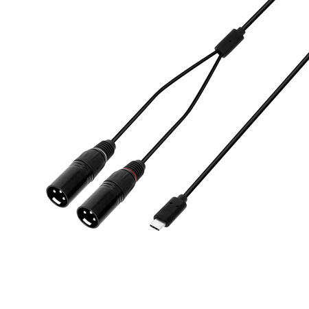 Image principale du produit Câble USB-C en Y | 2 x XLR mâle x USB-C | 1,5 m