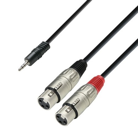 Image principale du produit Câble audio mini jack 3.5 mm stéréo vers 2 x XLR femelles, 1m