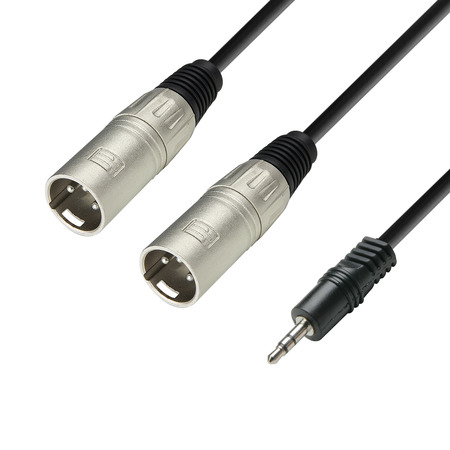 Image principale du produit Câble audio mini jack 3.5 mm vers 2 x XLR mâles 1m