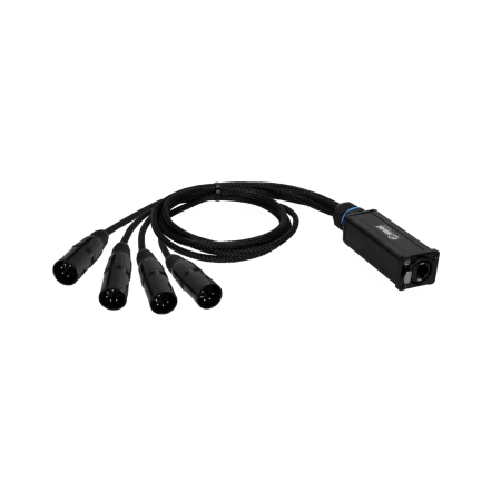 Image principale du produit Adam Hall Cables 4 STAR CATBOX XM5 - Audio & DMX, adaptateur AES/EBU vers XLR cat 5 pôles mâle