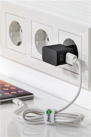 Image secondaire du produit Double chargeur USB noir 2.4A