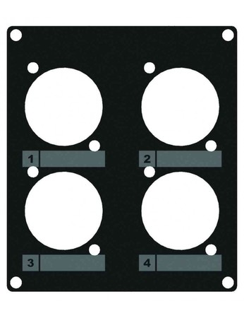 Image principale du produit CASY203 caymon plaque 2 modules pour 4 embases Type D