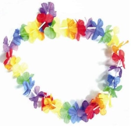 Image principale du produit Collier à fleurs 55cm hawaiien pour fête